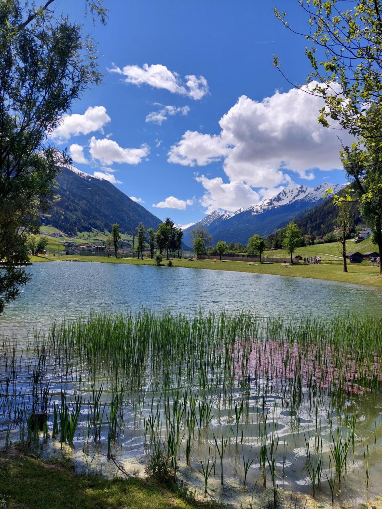 Pension Riese Neustift im Stubaital Zewnętrze zdjęcie